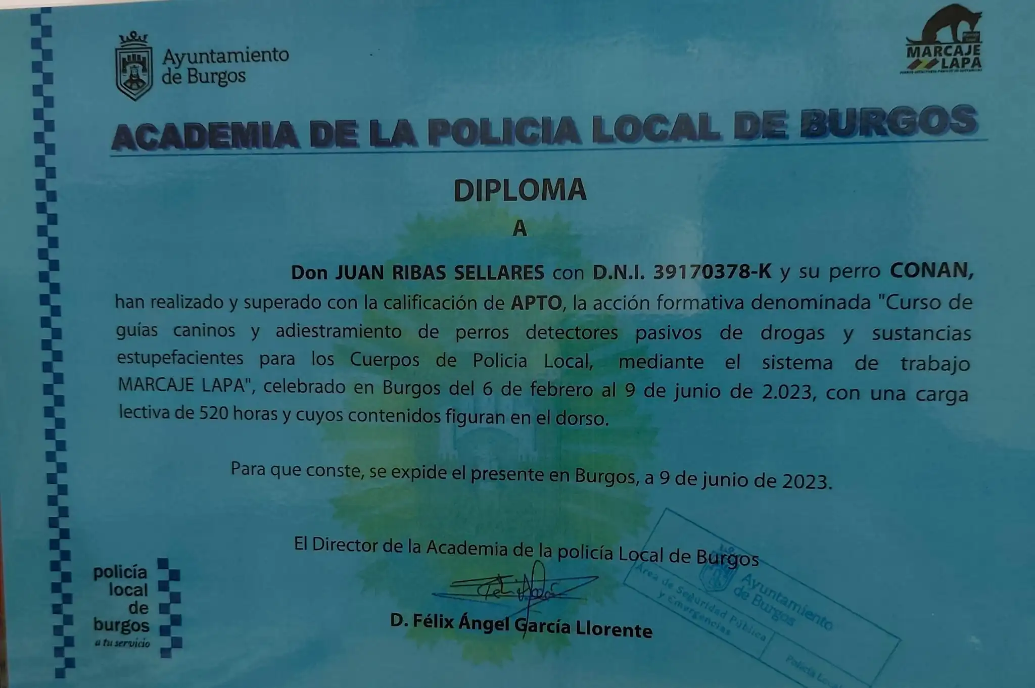 Diploma 1
