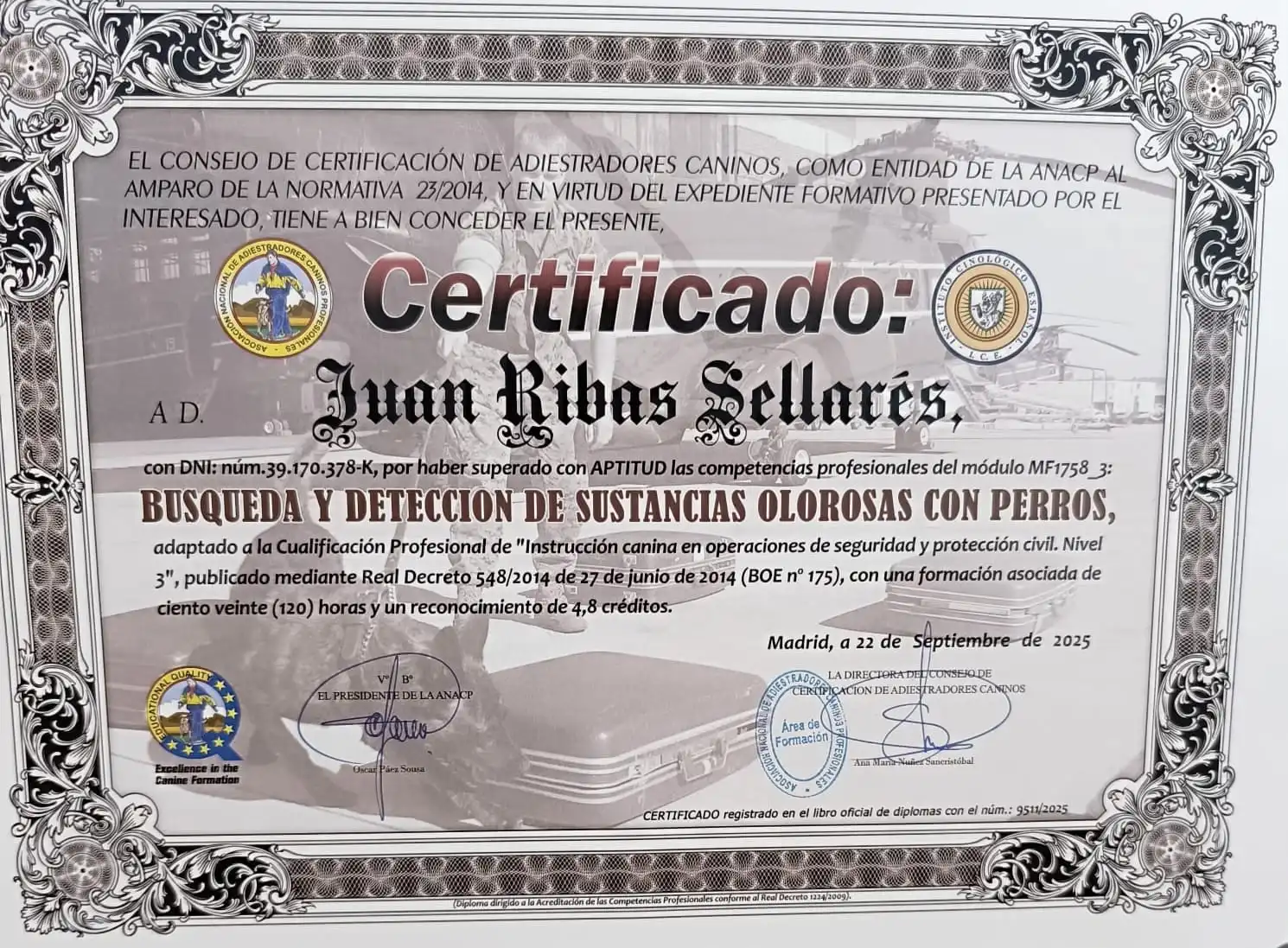Diploma 2