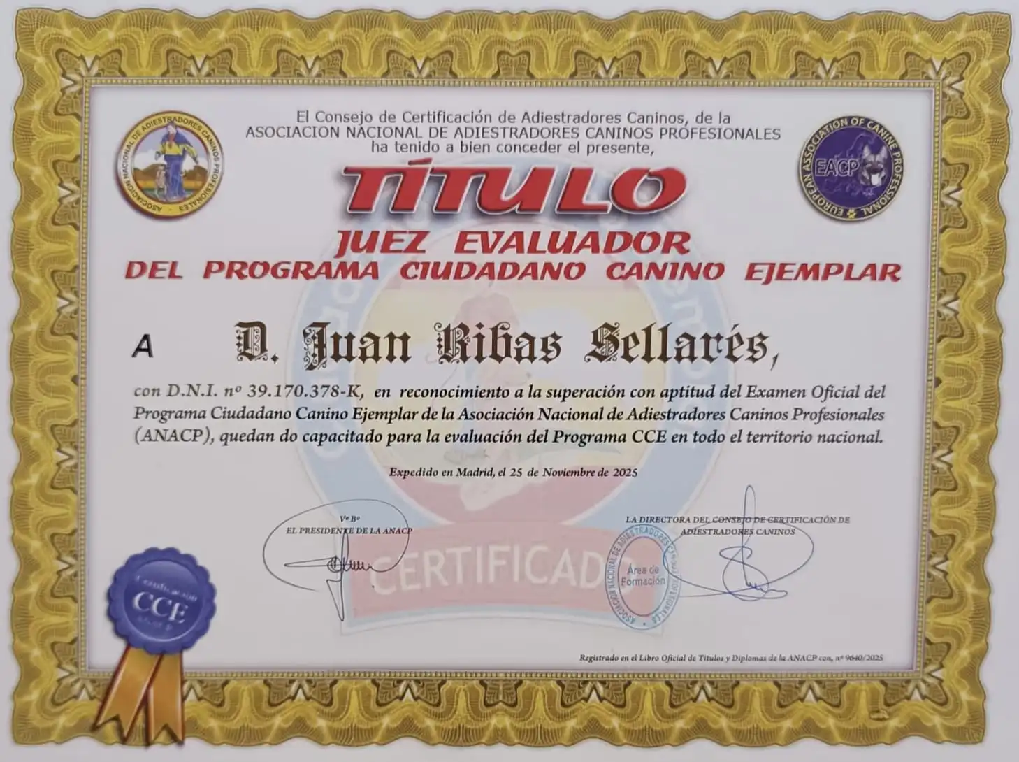 Diploma 4