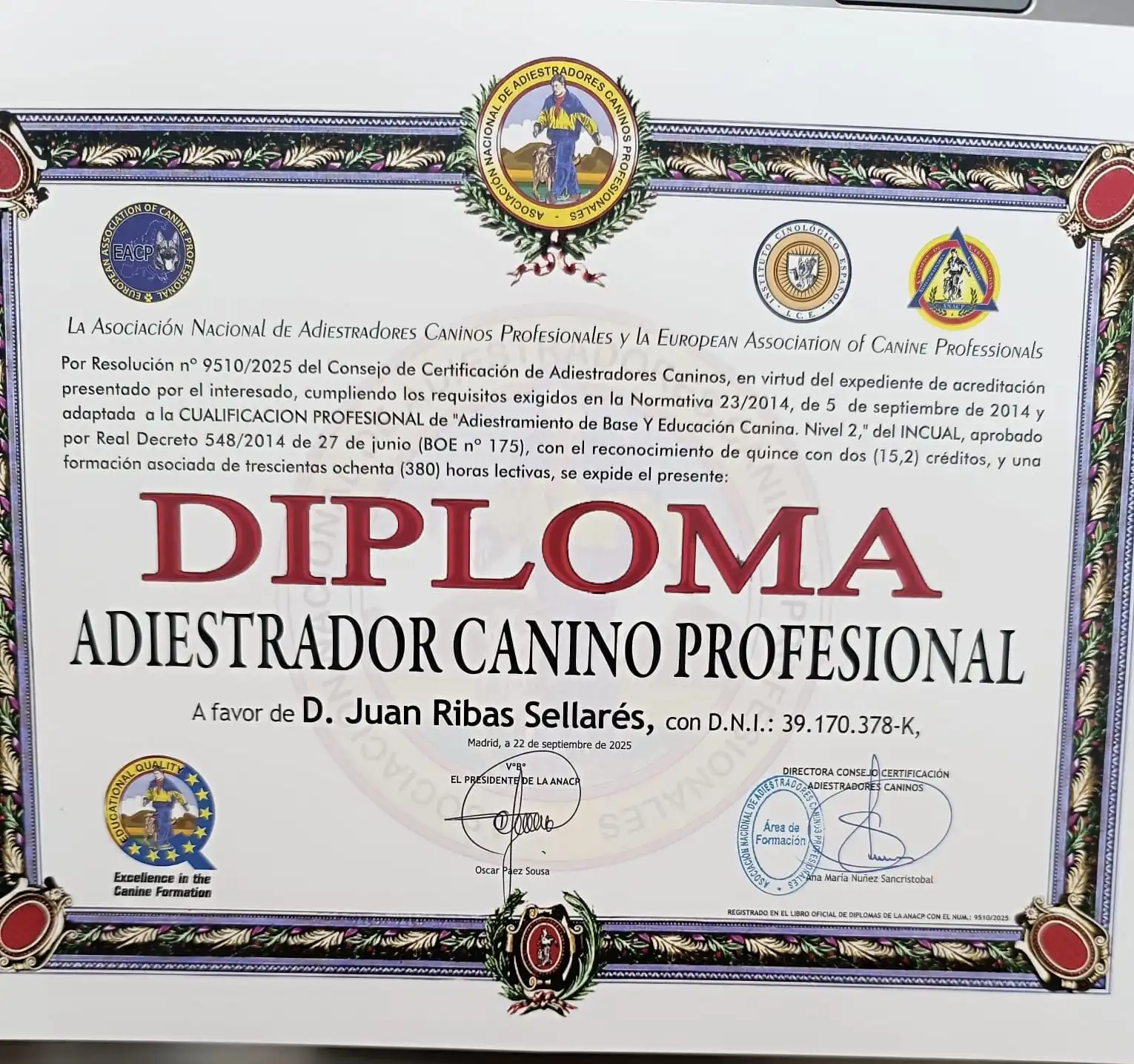 Diploma 5